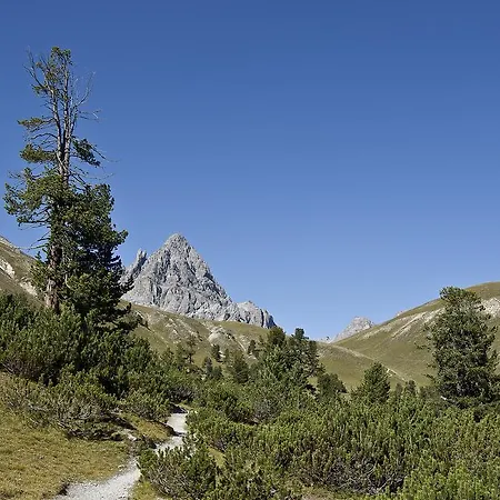 Daire Panorama *