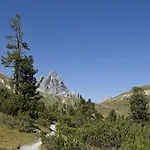 Daire Panorama *
