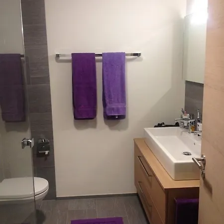 Daire Panorama Scuol